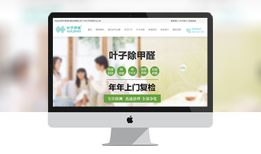 叶子环保集团