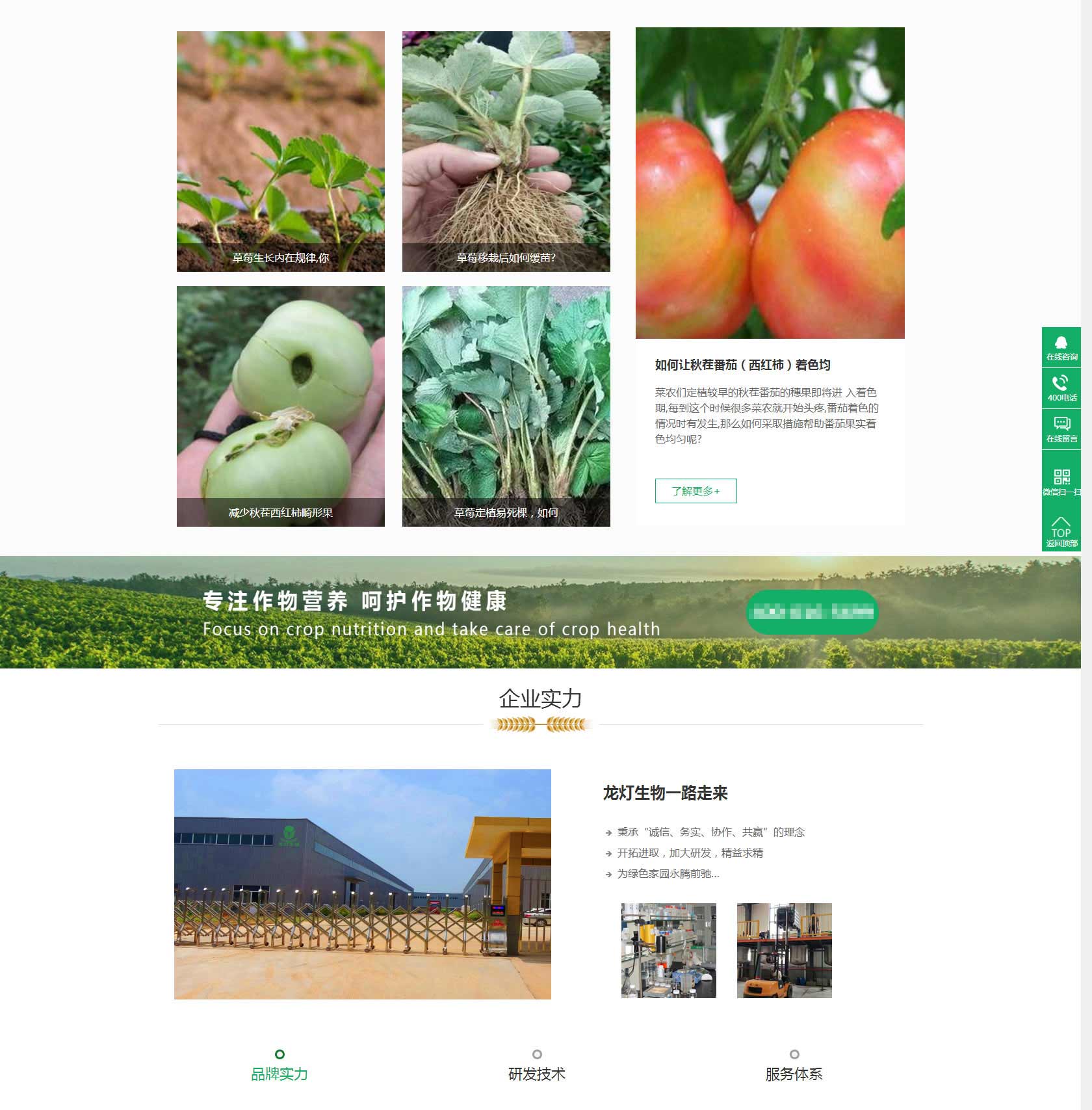 龙灯生物科技详情页_03.jpg